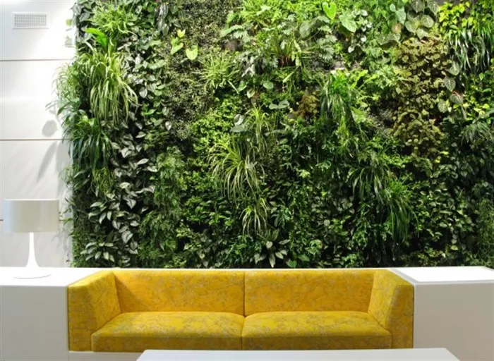 pareti verdi verticali