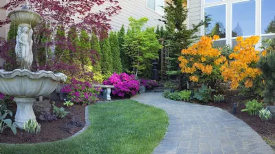 Piante sempreverdi da giardino: i vantaggi