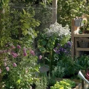 Realizzare un piccolo giardino Leroy Merlin