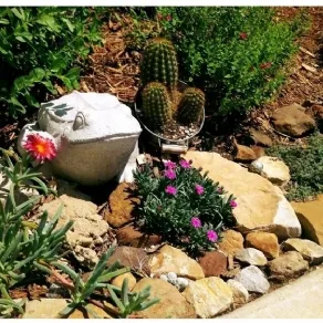 Piccoli giardini di casa