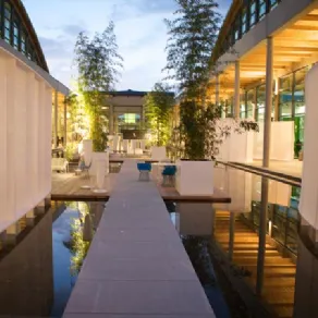 Design del giardino