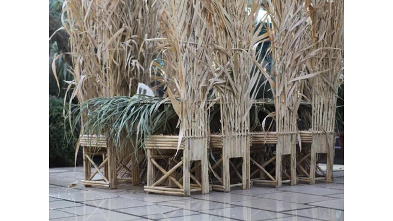 Sedie di bamboo
