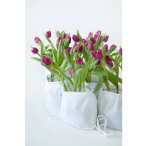 vasi fiori