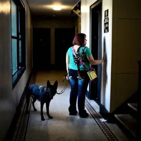 Animali in condominio
