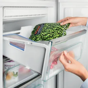 Sbrinare il freezer senza spegnerlo