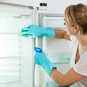 Come pulire il freezer