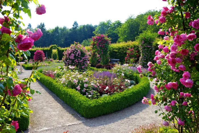 giardino fiorito