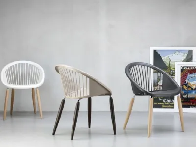 Sedie di design, la comodità va di moda