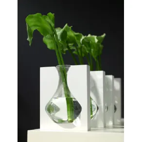 vaso serax