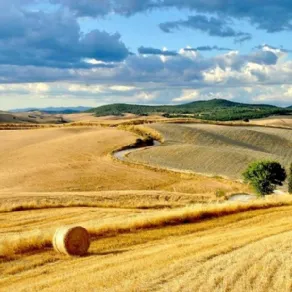 servitù prediale
