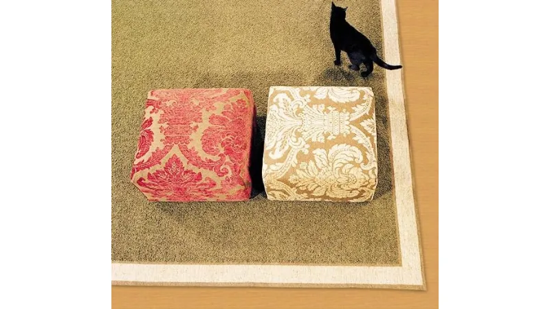 Tappeto classico con gatto seduto sopra