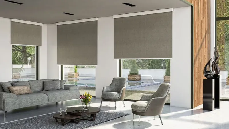 Elite Catena di Mv Line