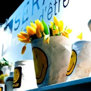 home garden macef