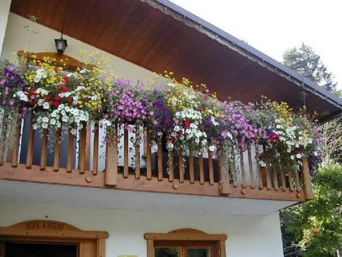 balcone fiorito