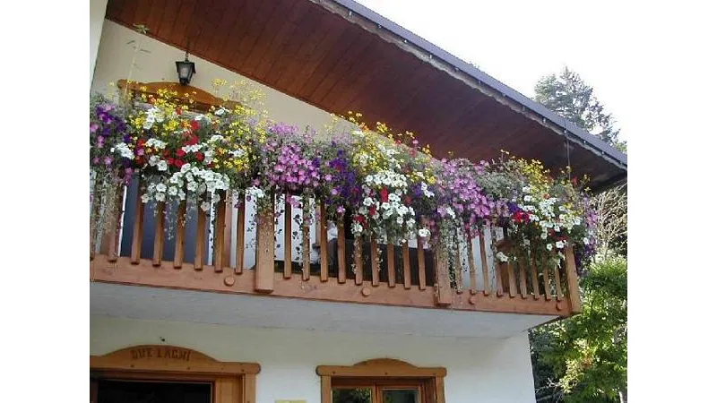 balcone fiorito