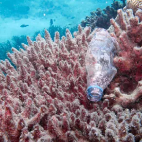 Rifiuti nell'oceano