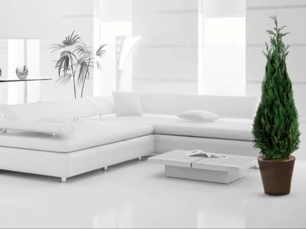 verde stabilizzato
