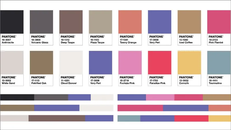 Palette The Star of the Show e Palette Amusements