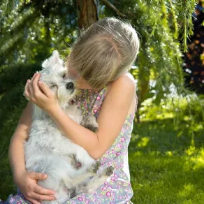 Viridea animali