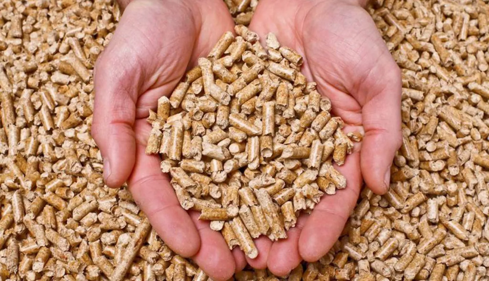 Pellet legno
