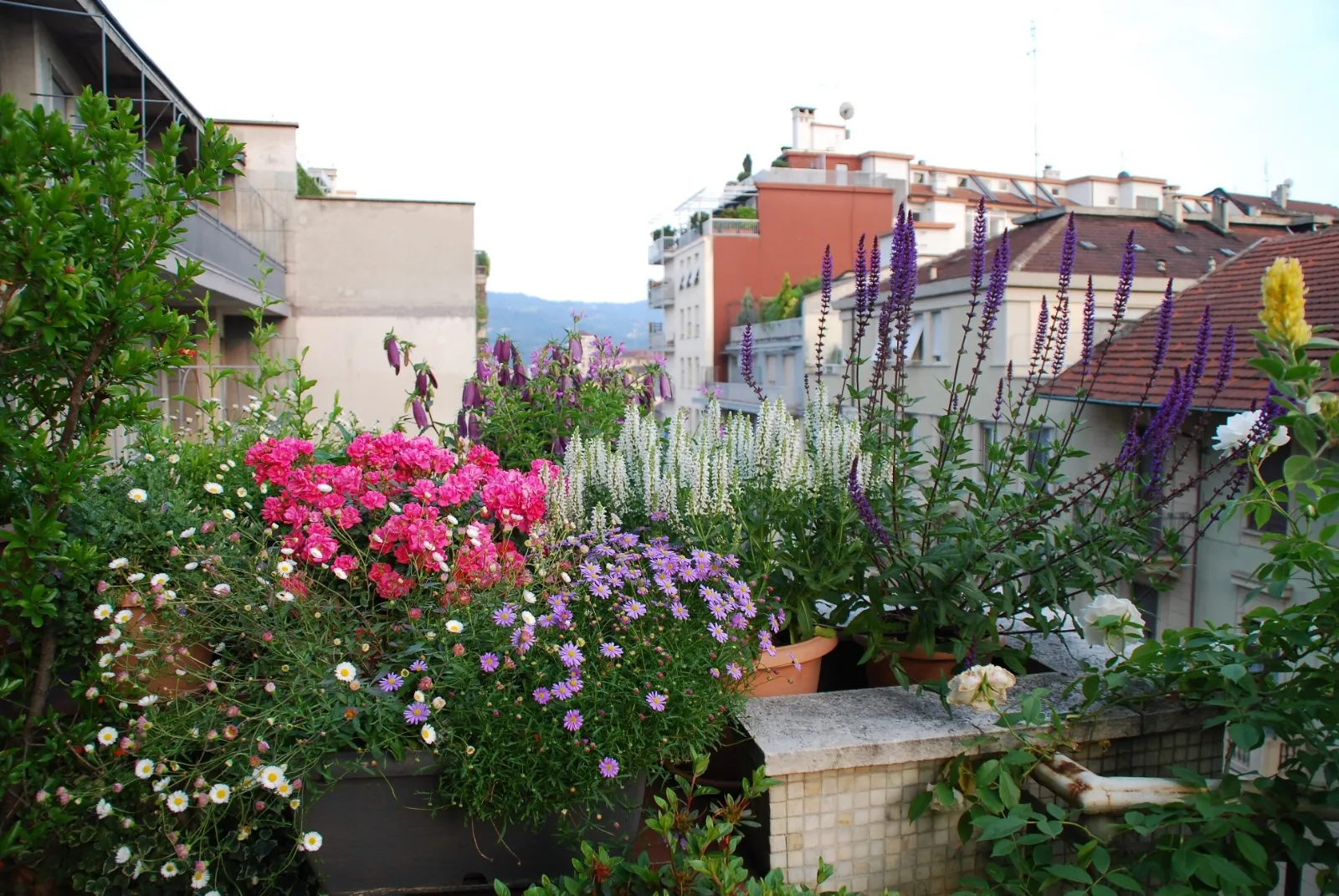 Piante da interno: come avere cura delle piante in estate come ... Arredare con le piante da interno