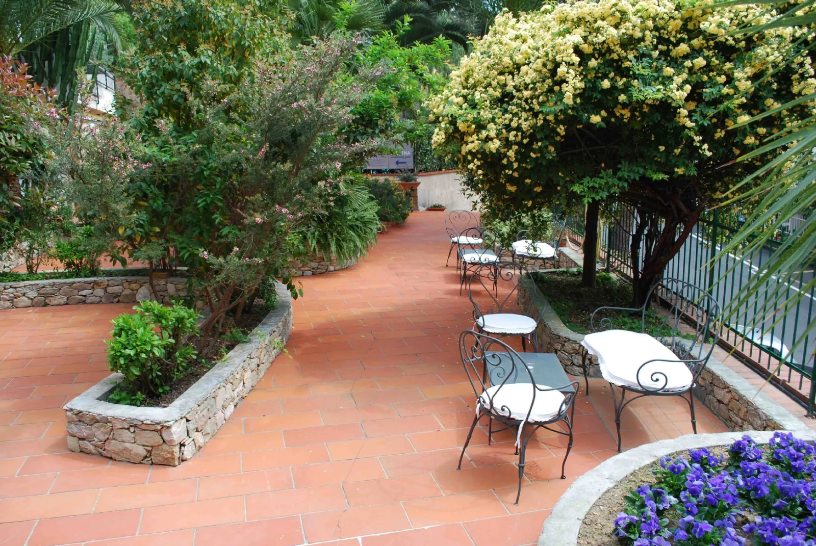 Piante da terrazzo, come organizzarle? il verde Aiuole da terrazzo