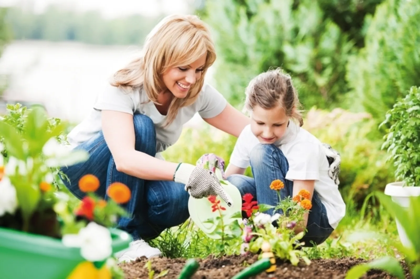 Come progettare un giardino<p />