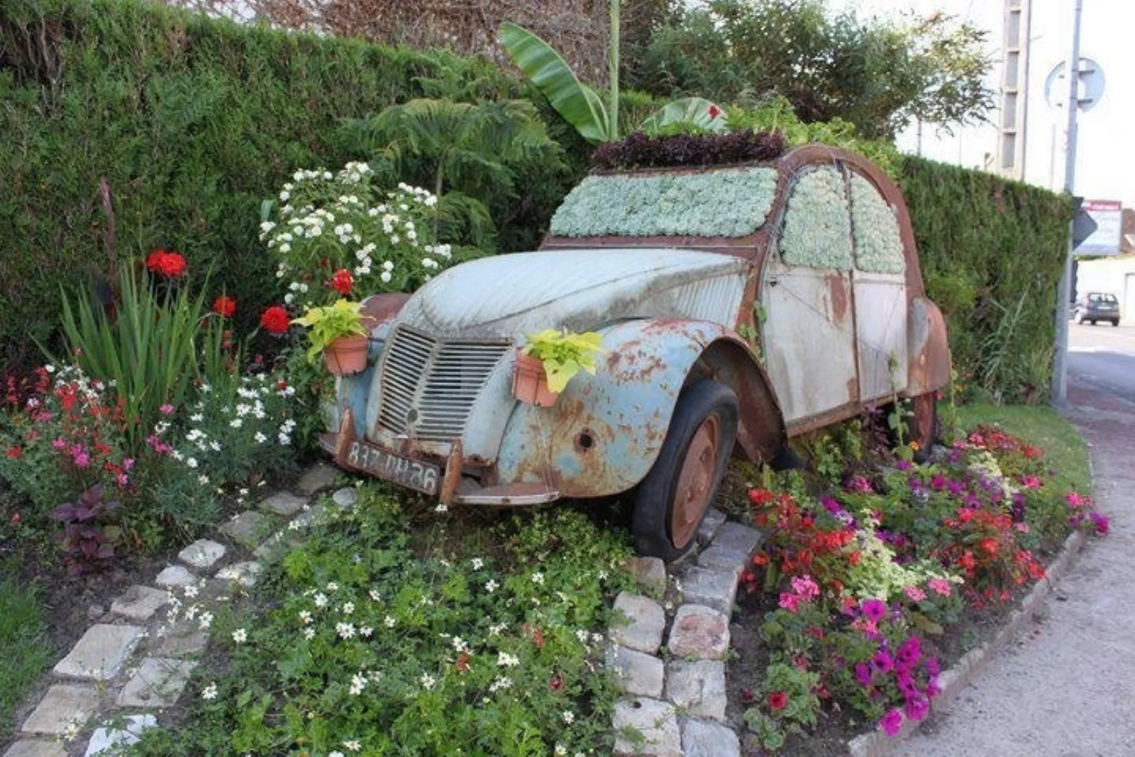 Consiglio giardino