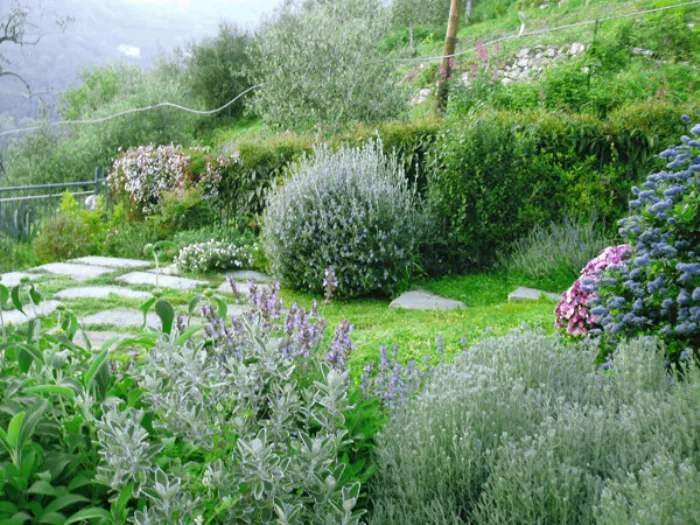 progetto giardino
