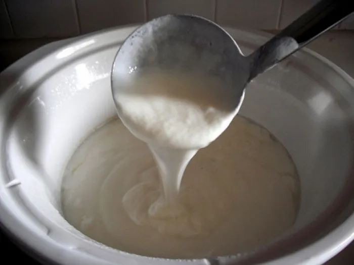 yogurtiera